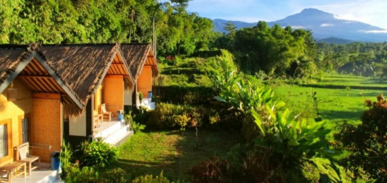 Aryasuta Bungalow Tetebatu Ngoại thất bức ảnh